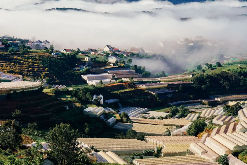 Vườn rau của Võ Thị Thuý Hoa
